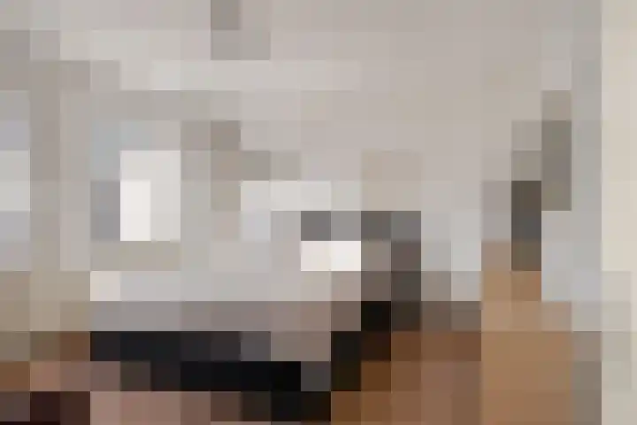 Meendaal 224 Maastricht thumbnail 17