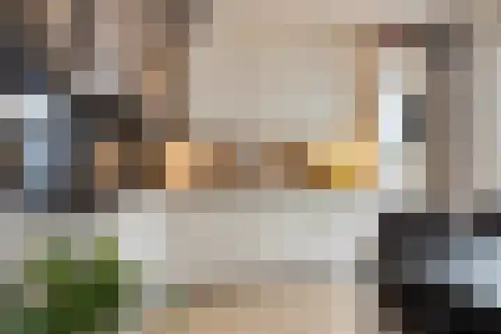 Meendaal 226 Maastricht thumbnail 12