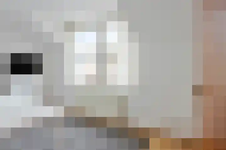 Meendaal 226 Maastricht thumbnail 23