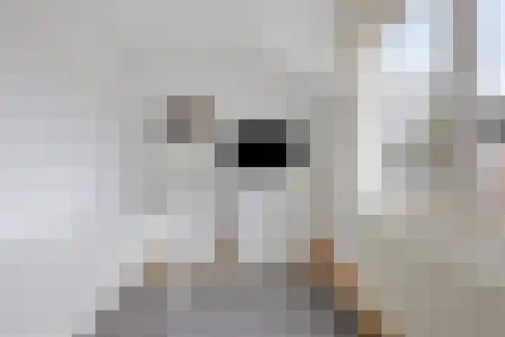 Meendaal 226 Maastricht thumbnail 24