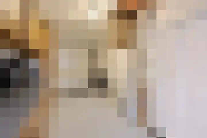 Meendaal 226 Maastricht thumbnail 25