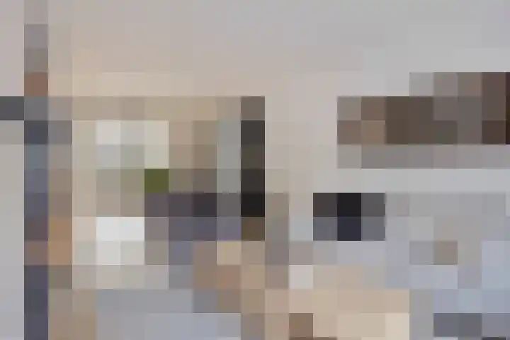 Meendaal 226 Maastricht thumbnail 4