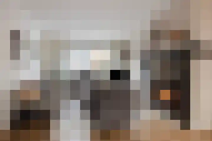 Meendaal 226 Maastricht thumbnail 8