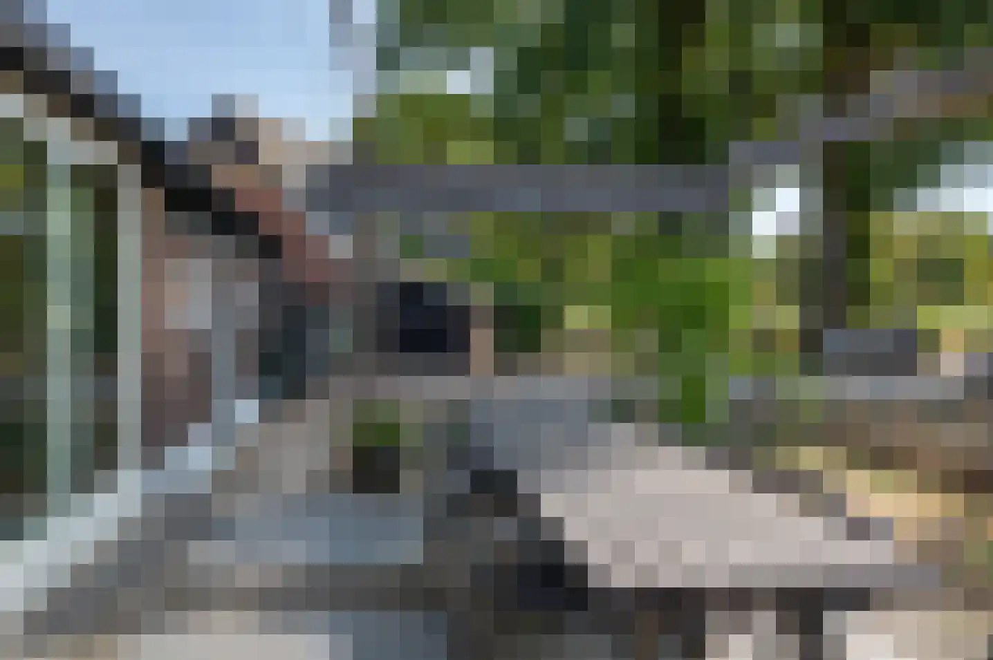 Meeneweg 12 Zelhem thumbnail 20