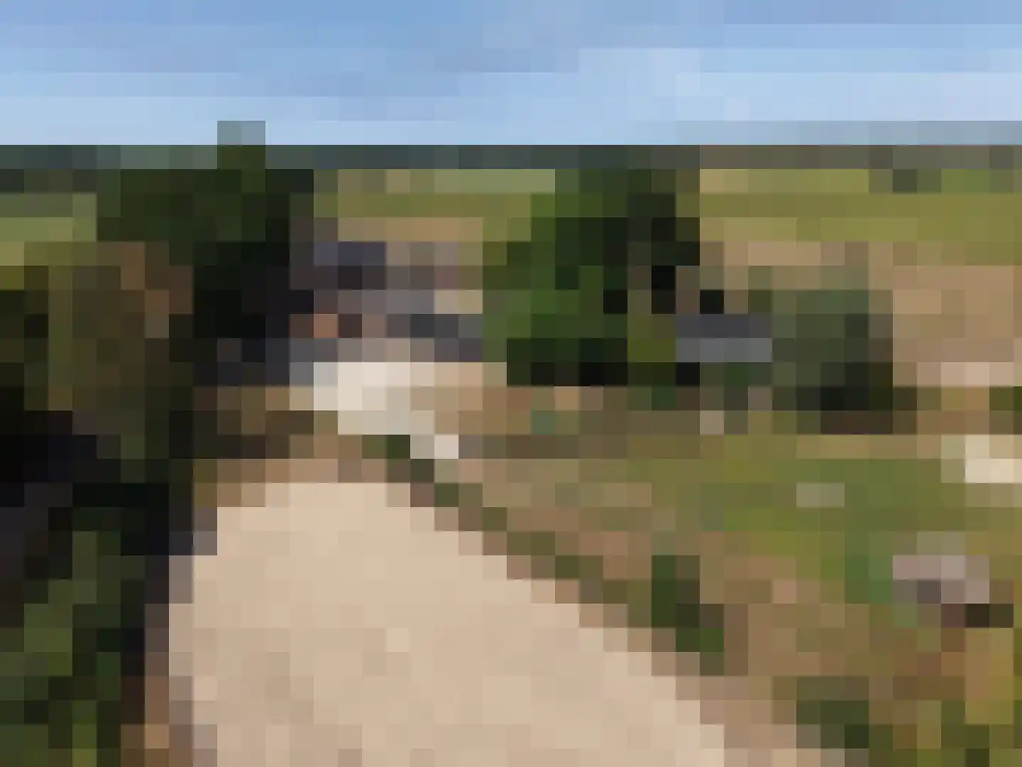 Meeneweg 12 Zelhem thumbnail 4