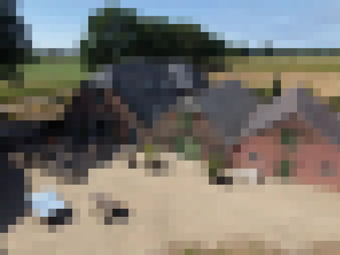Meeneweg 12 Zelhem thumbnail 5