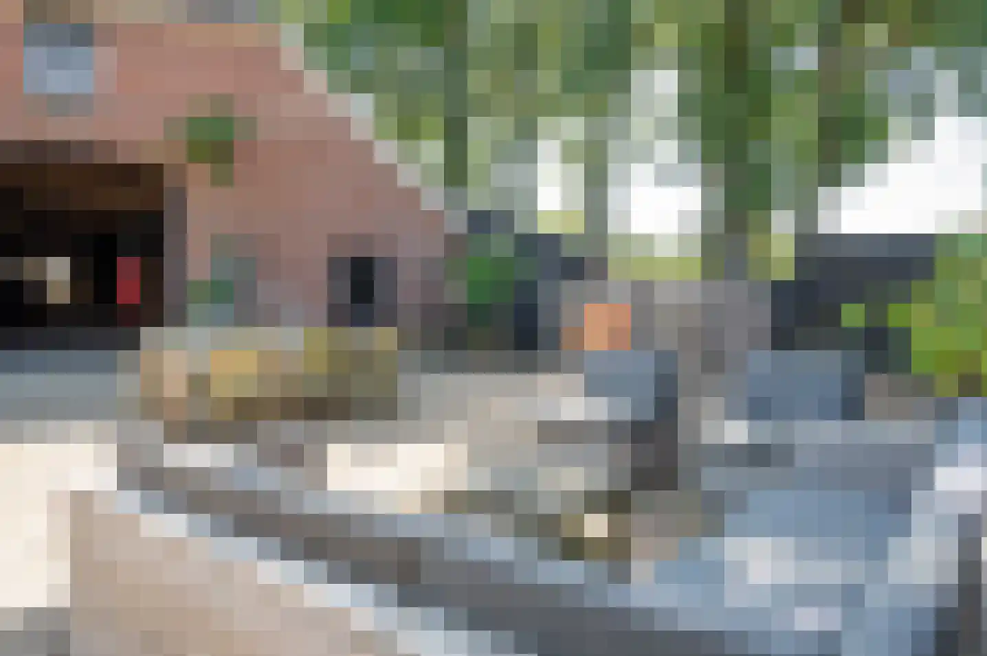 Meeneweg 12 Zelhem thumbnail 52