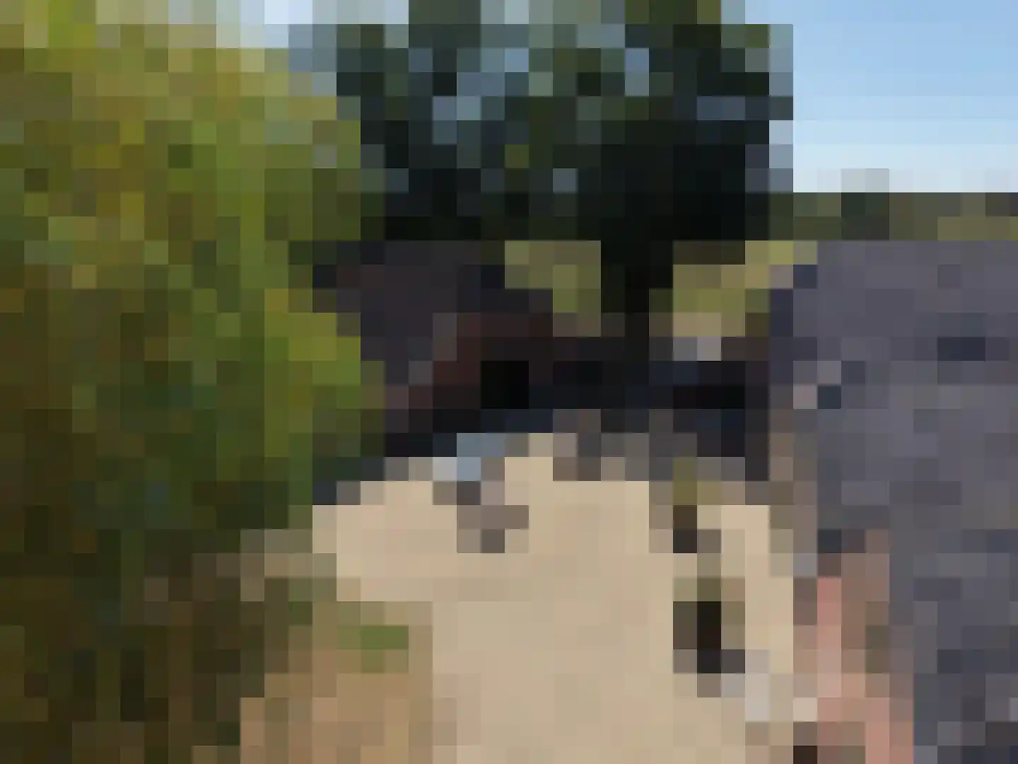 Meeneweg 12 Zelhem thumbnail 6