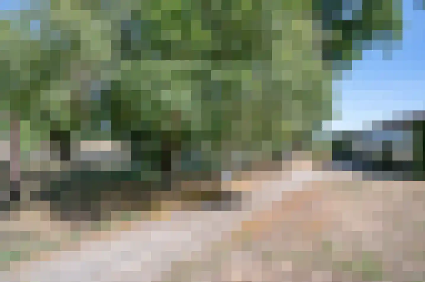 Meeneweg 12 Zelhem thumbnail 62