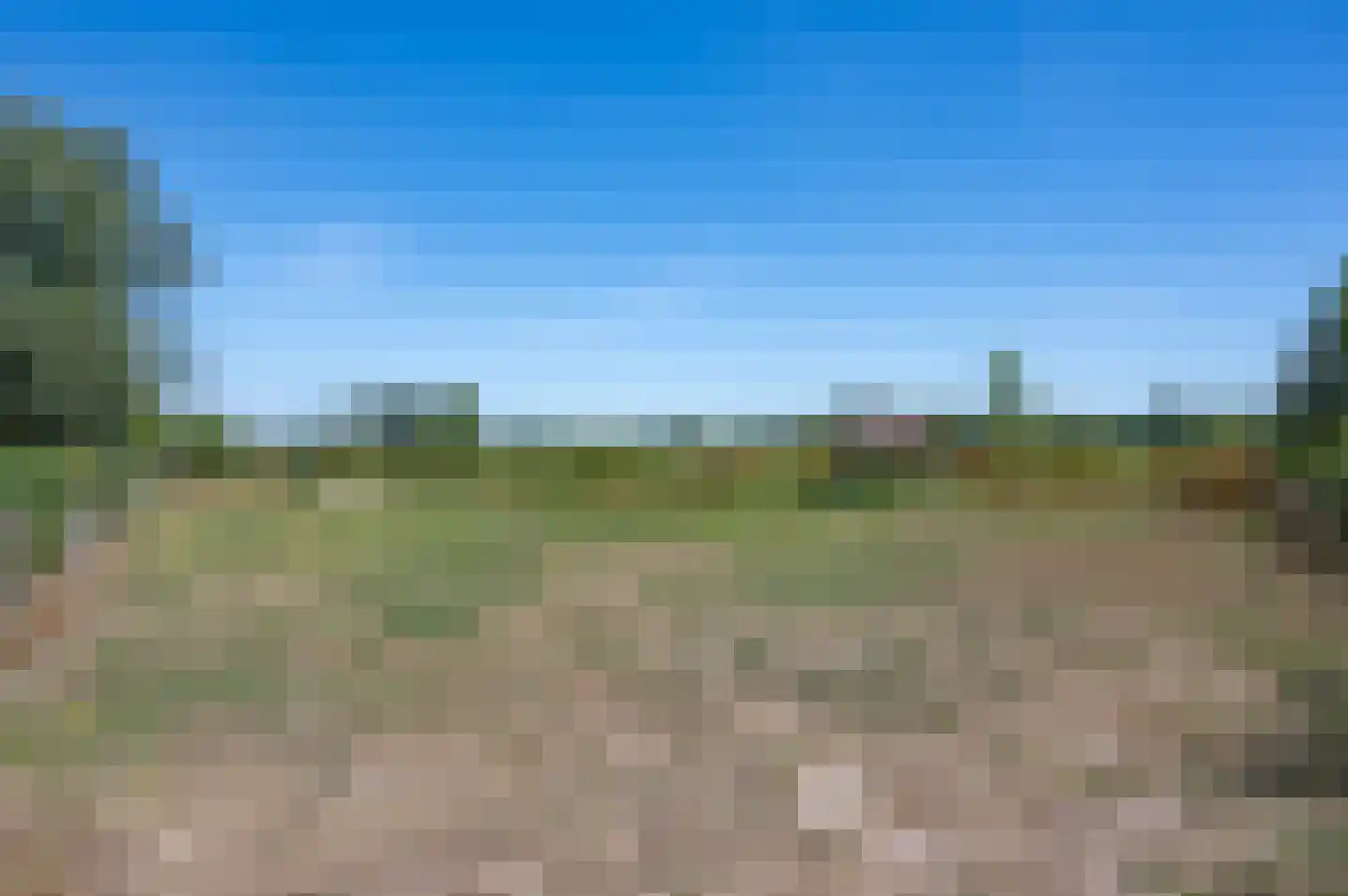 Meeneweg 12 Zelhem thumbnail 65