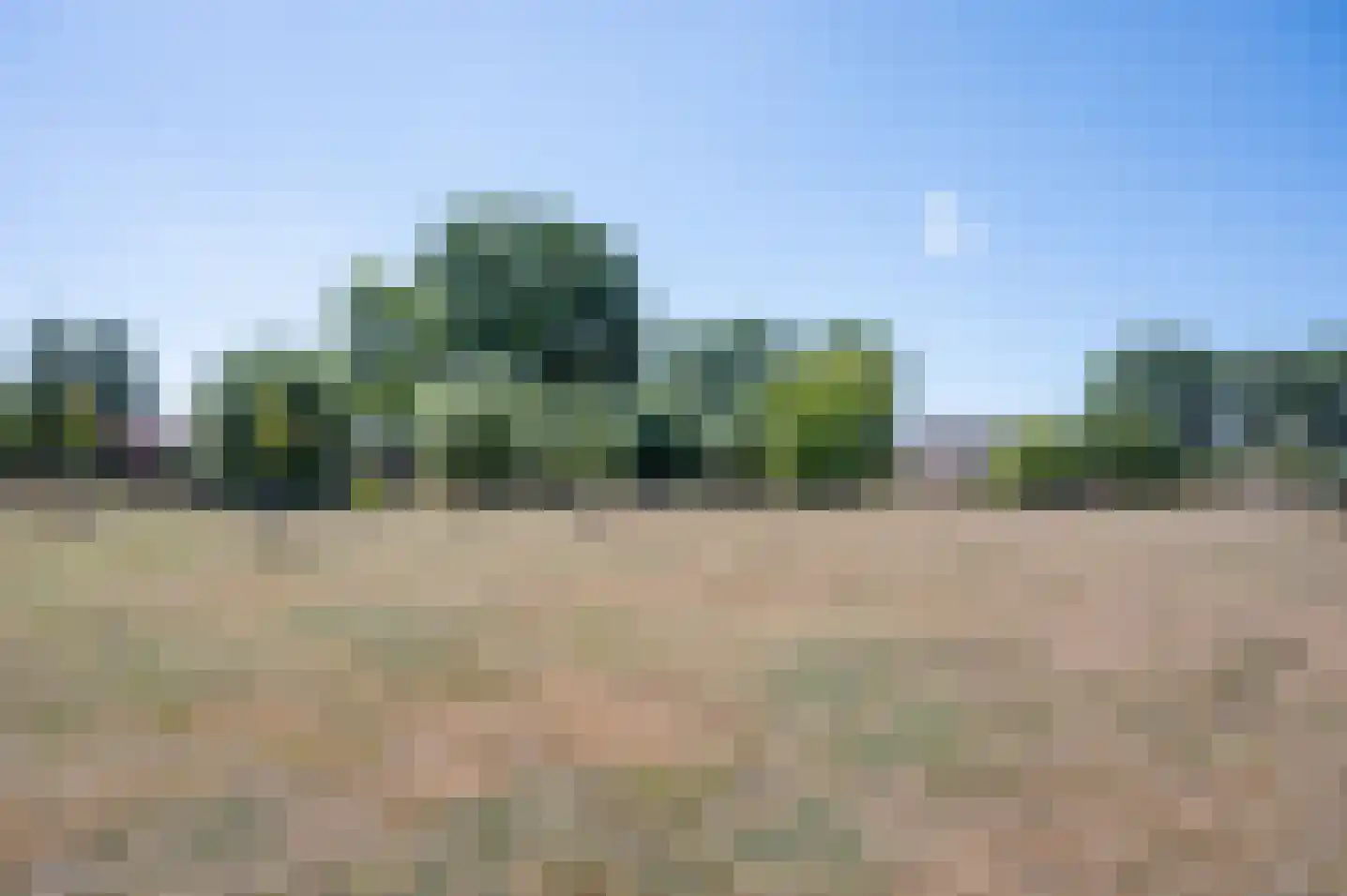 Meeneweg 12 Zelhem thumbnail 72