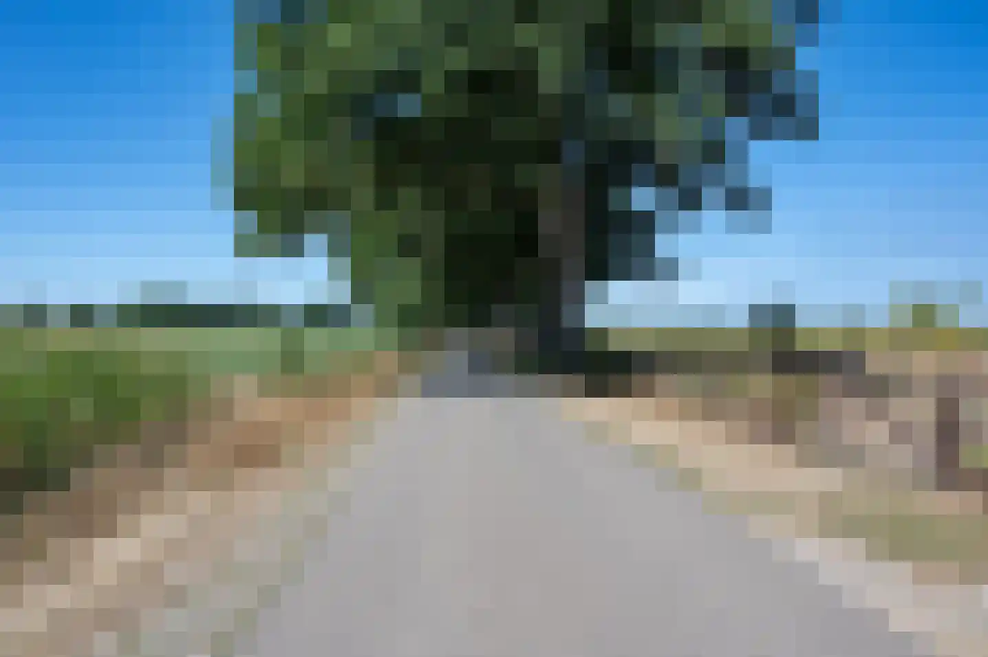 Meeneweg 12 Zelhem thumbnail 73