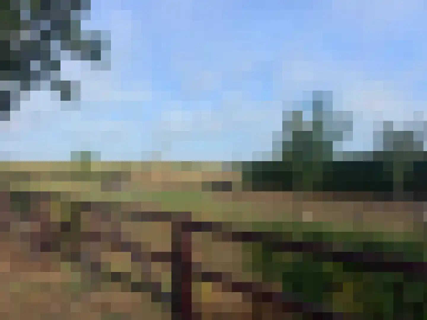 Meeneweg 12 Zelhem thumbnail 74