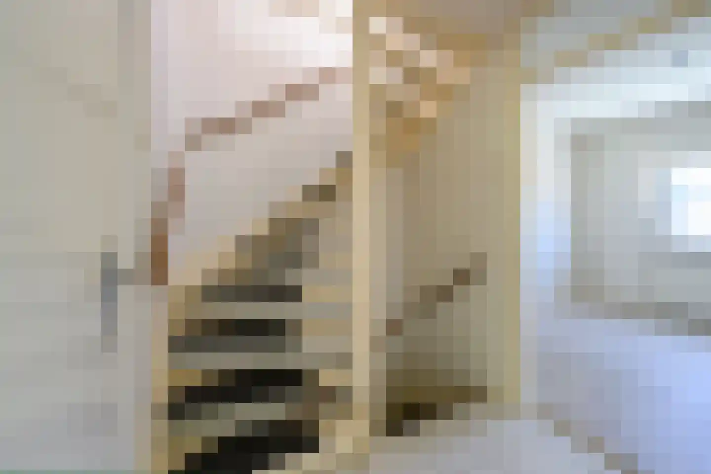 Meengatstraat 106 Brummen thumbnail 15