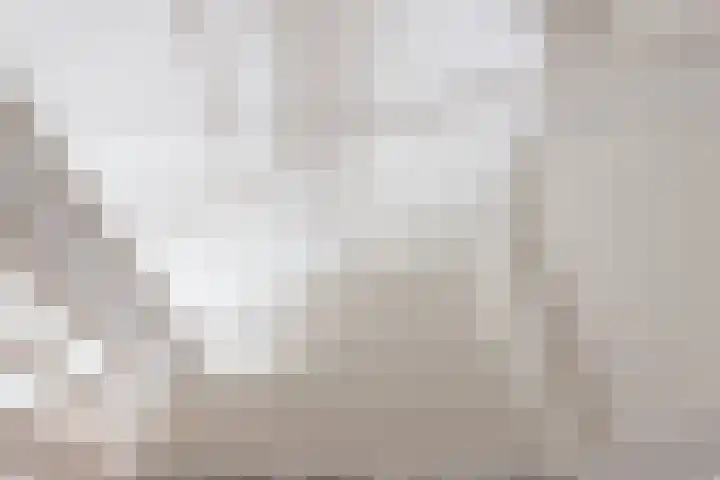 Meengatstraat 27 A Brummen thumbnail 42