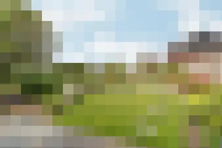 Meengatstraat 27 A Brummen thumbnail 6