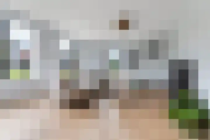Meengatstraat 27 A Brummen thumbnail 8