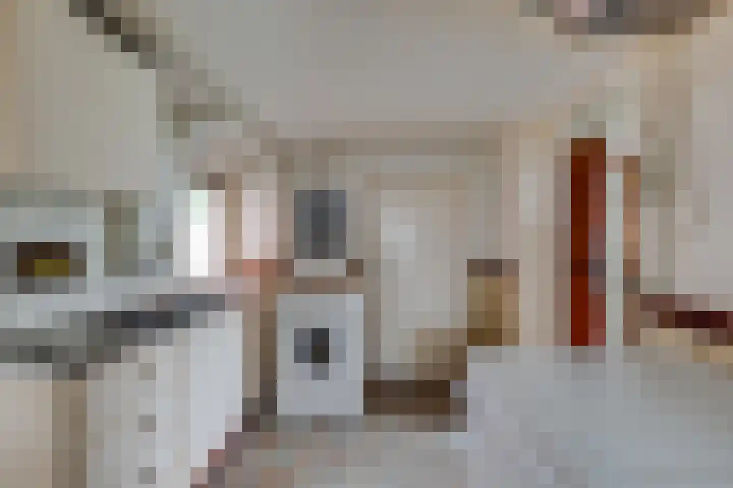 Meengsweg 17 Geesteren thumbnail 10
