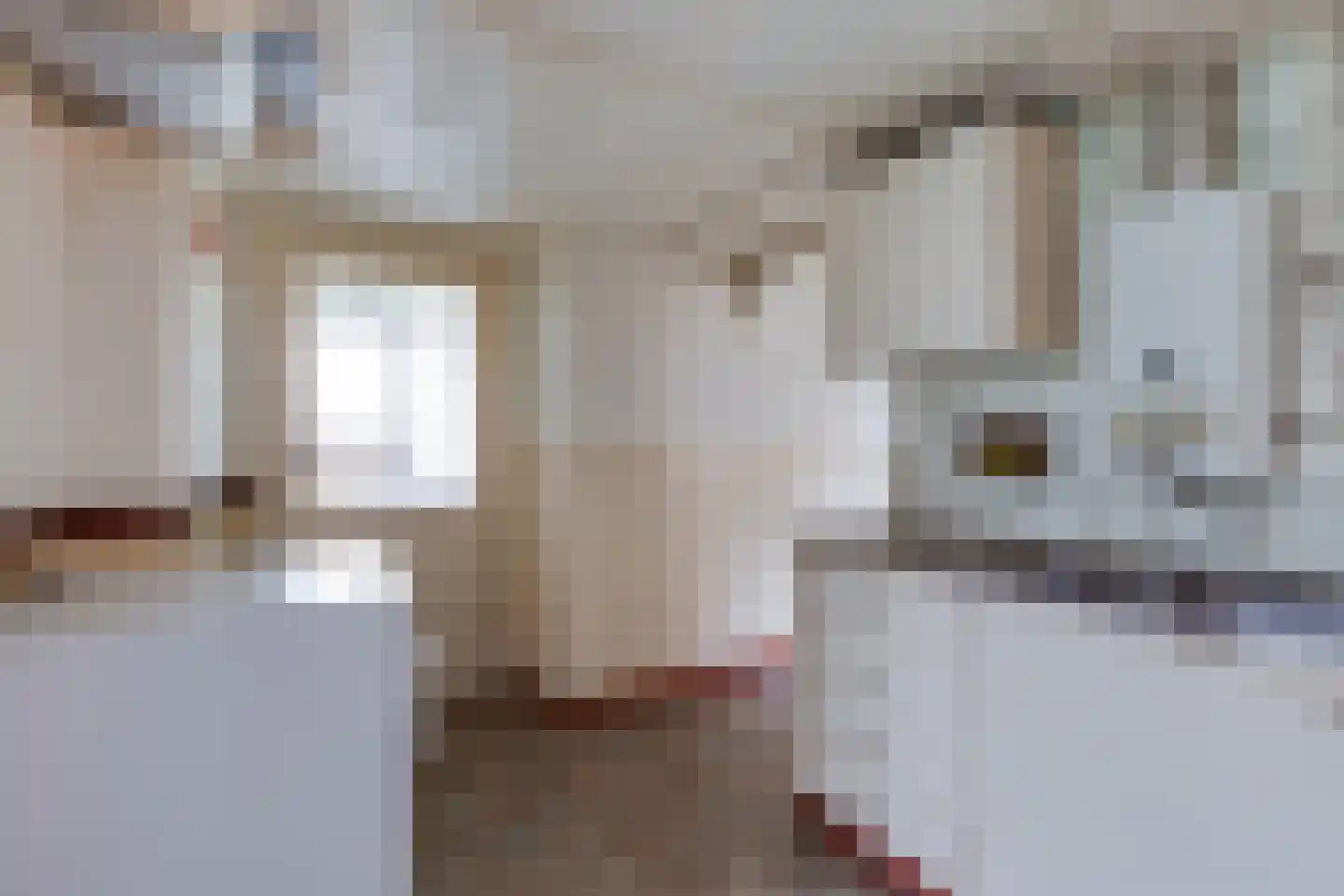 Meengsweg 17 Geesteren thumbnail 11