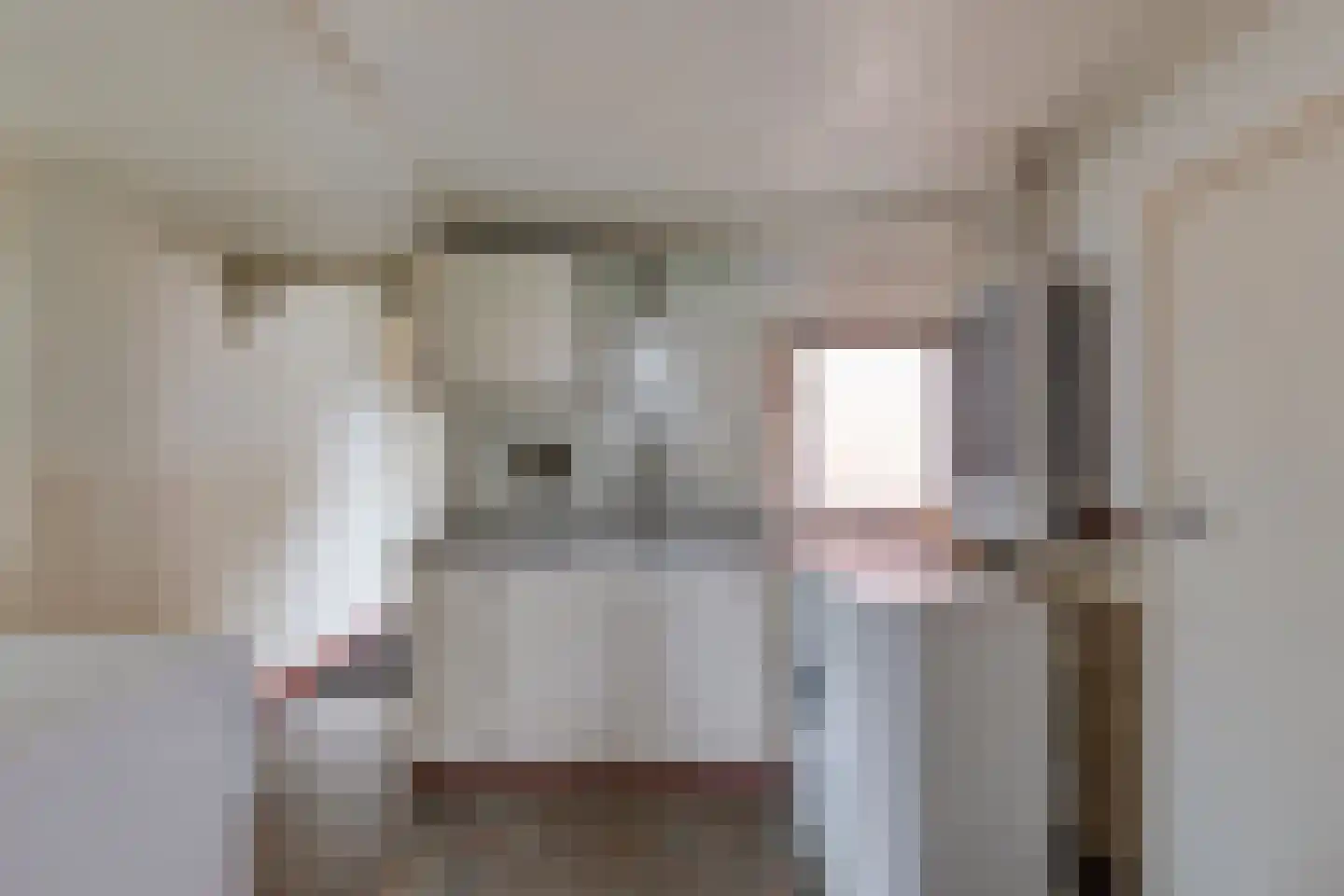 Meengsweg 17 Geesteren thumbnail 12