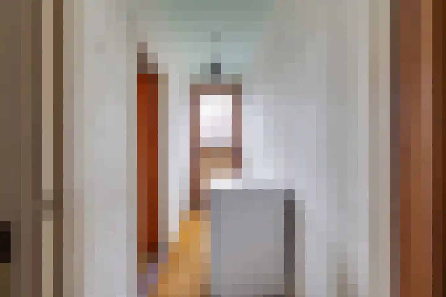 Meengsweg 17 Geesteren thumbnail 18
