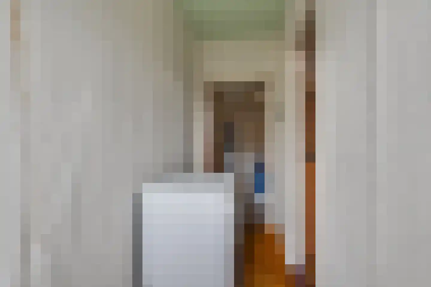 Meengsweg 17 Geesteren thumbnail 19