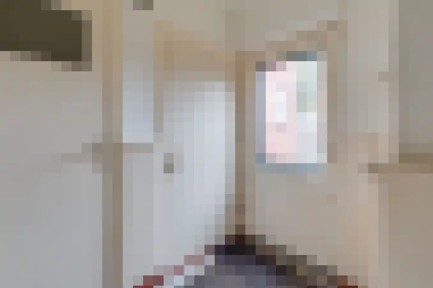 Meengsweg 17 Geesteren thumbnail 20