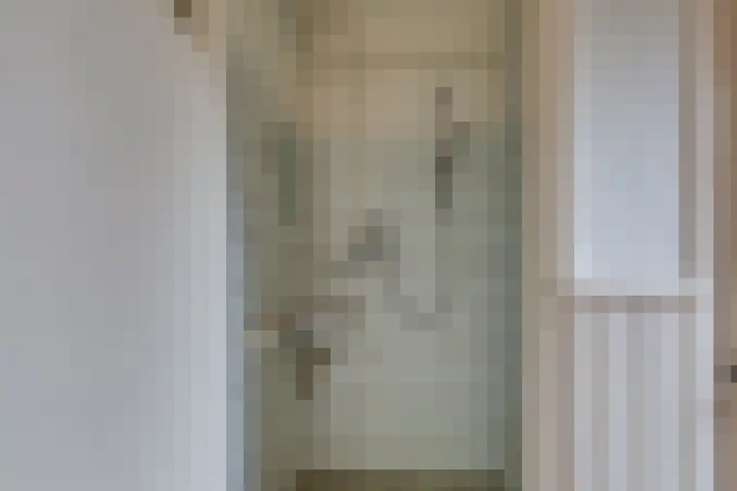 Meengsweg 17 Geesteren thumbnail 21