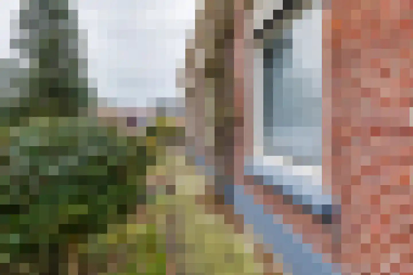 Meengsweg 17 Geesteren thumbnail 29