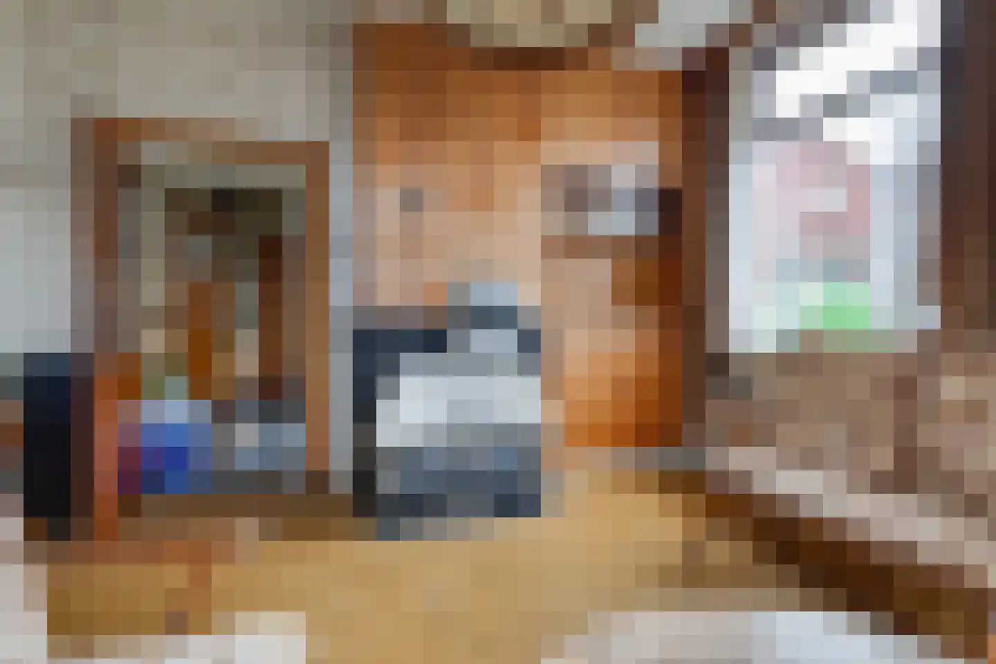 Meengsweg 17 Geesteren thumbnail 5