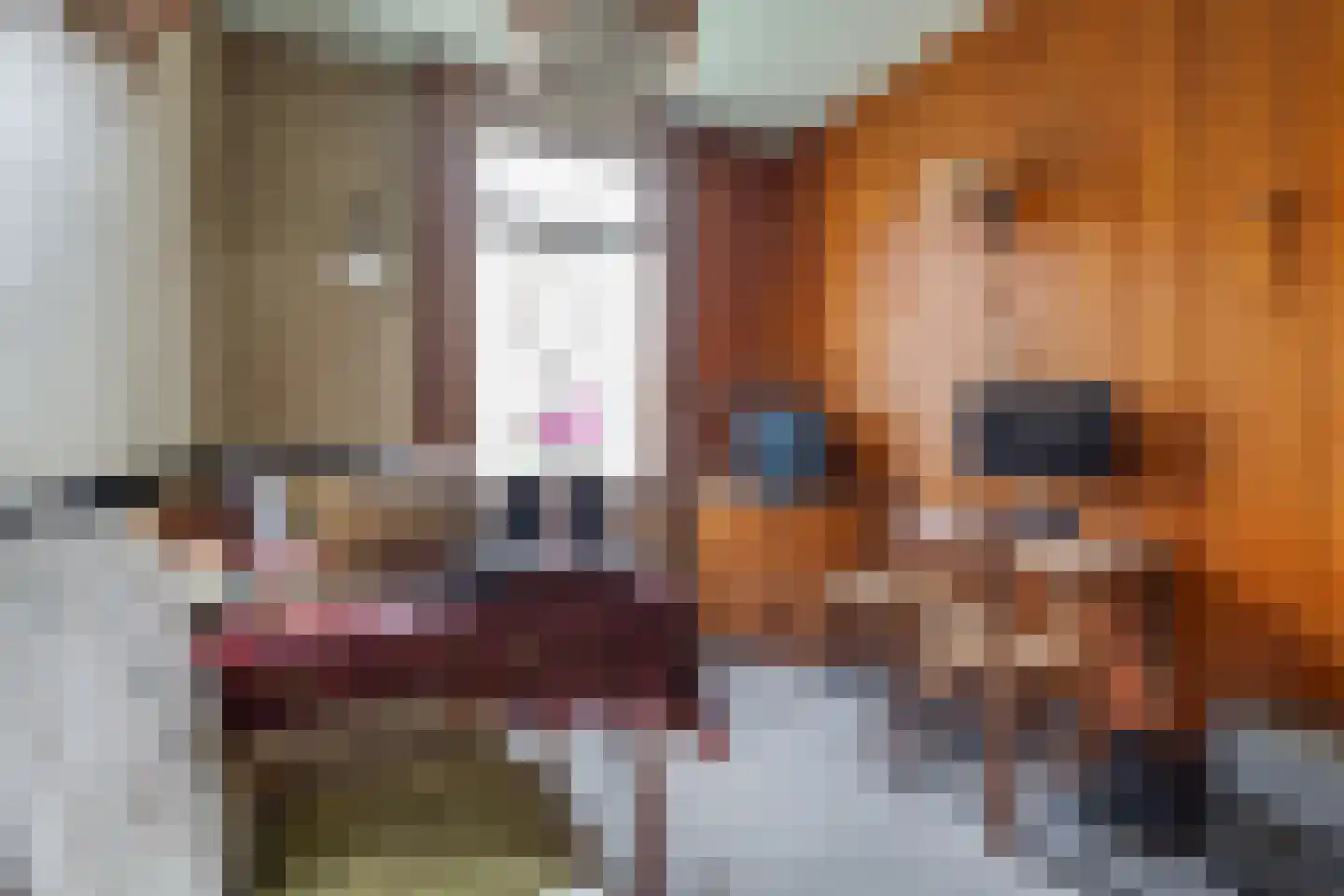 Meengsweg 17 Geesteren thumbnail 6