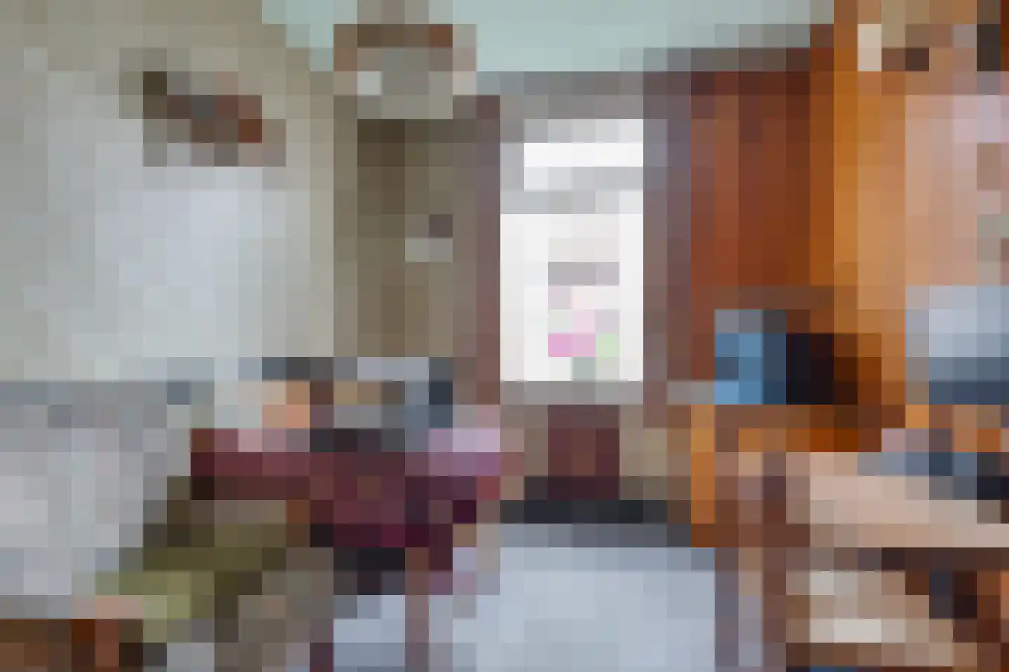 Meengsweg 17 Geesteren thumbnail 7