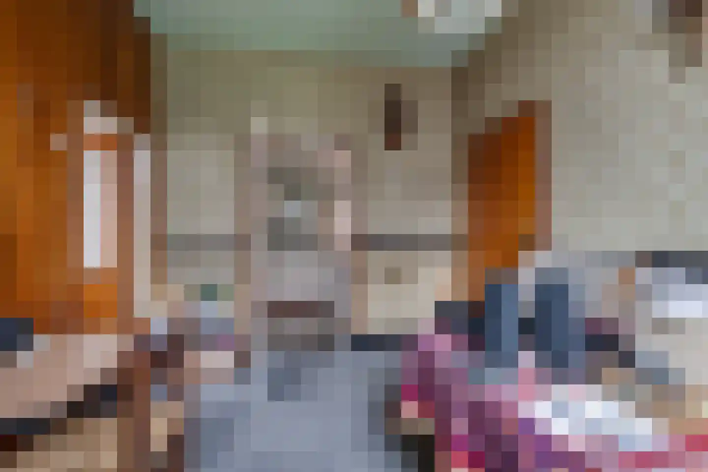 Meengsweg 17 Geesteren thumbnail 8