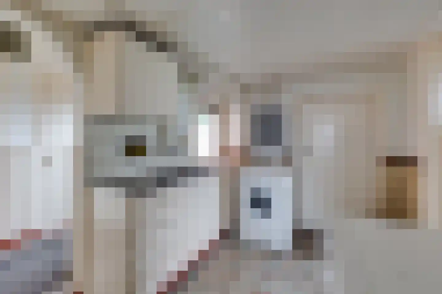 Meengsweg 17 Geesteren thumbnail 9