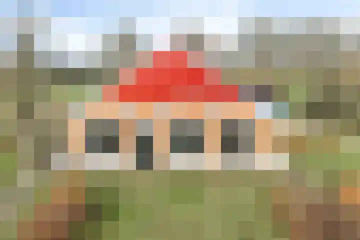 Meenkmolenweg 27 Winterswijk Corle thumbnail 4