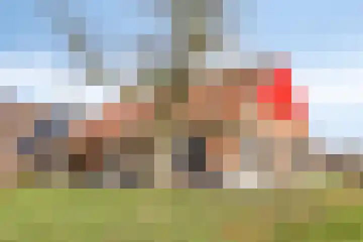 Meenkmolenweg 27 Winterswijk Corle thumbnail 6