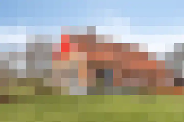 Meenkmolenweg 27 Winterswijk Corle thumbnail 7