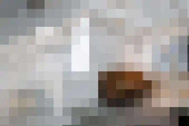 Meenkselaan 14 Driebergen-Rijsenburg thumbnail 34