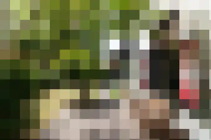 Meenkselaan 14 Driebergen-Rijsenburg thumbnail 39
