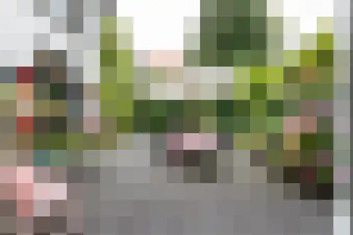 Meenkselaan 14 Driebergen-Rijsenburg thumbnail 40