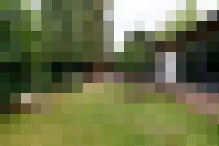 Meenkselaan 14 Driebergen-Rijsenburg thumbnail 42