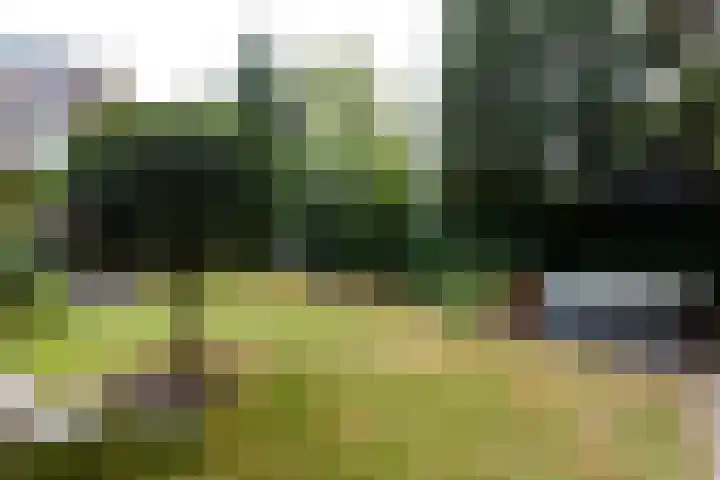 Meenkselaan 14 Driebergen-Rijsenburg thumbnail 43