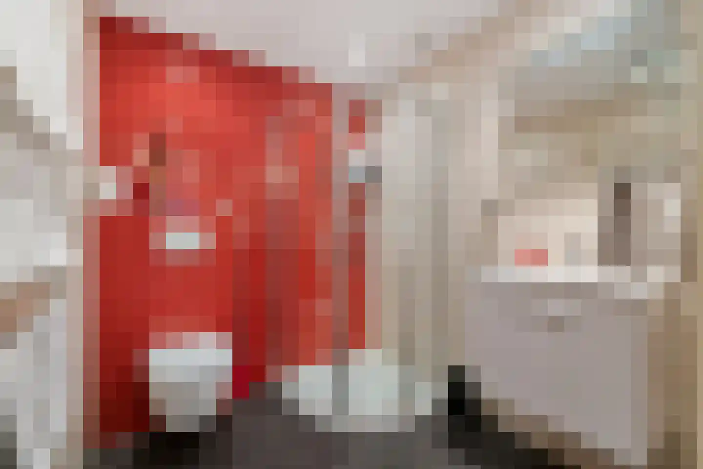 Meenscharweg 5 Joure thumbnail 10