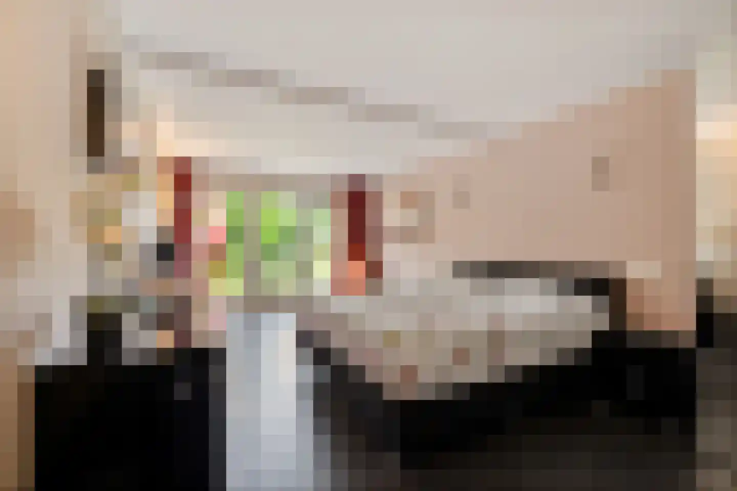 Meenscharweg 5 Joure thumbnail 11