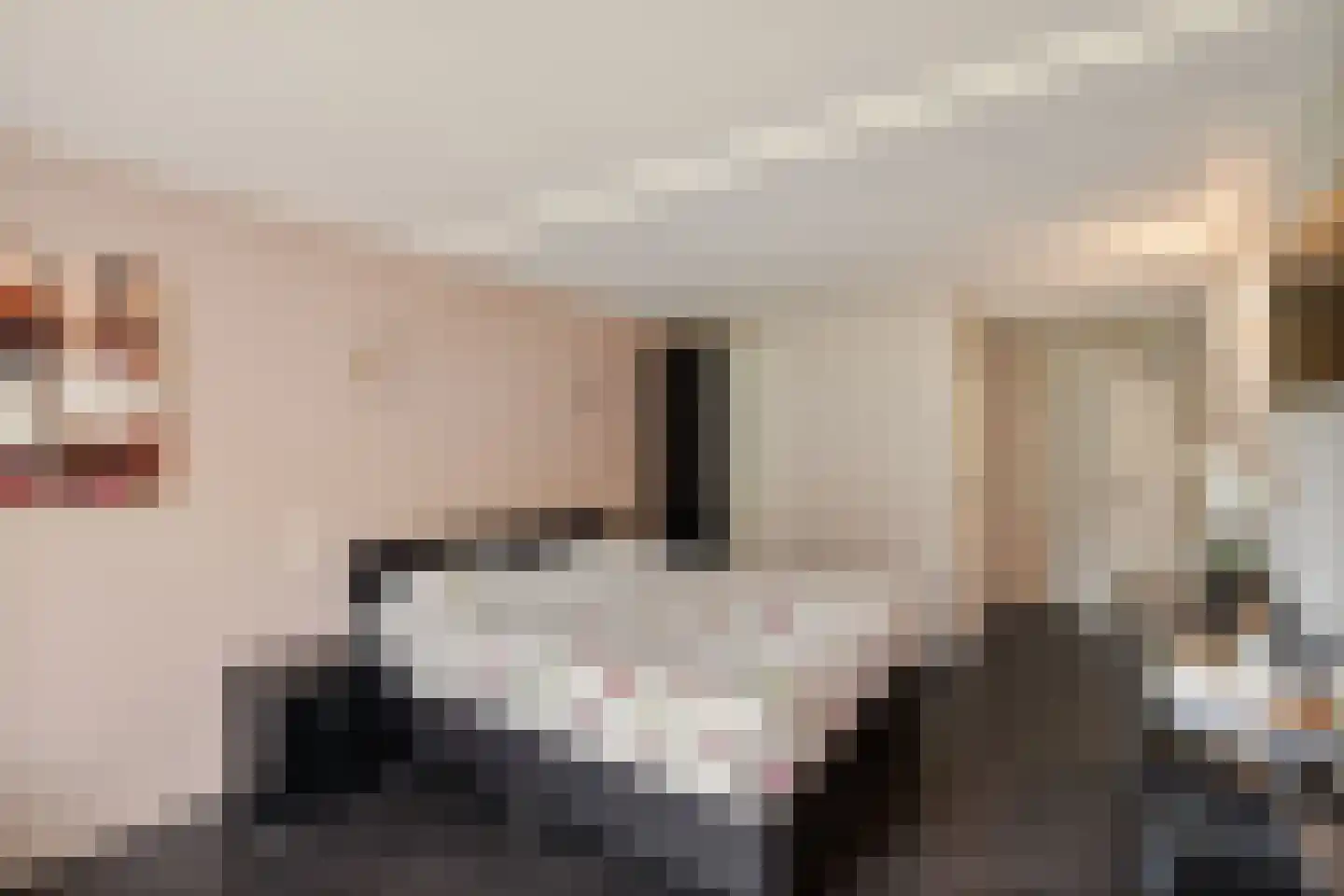Meenscharweg 5 Joure thumbnail 12