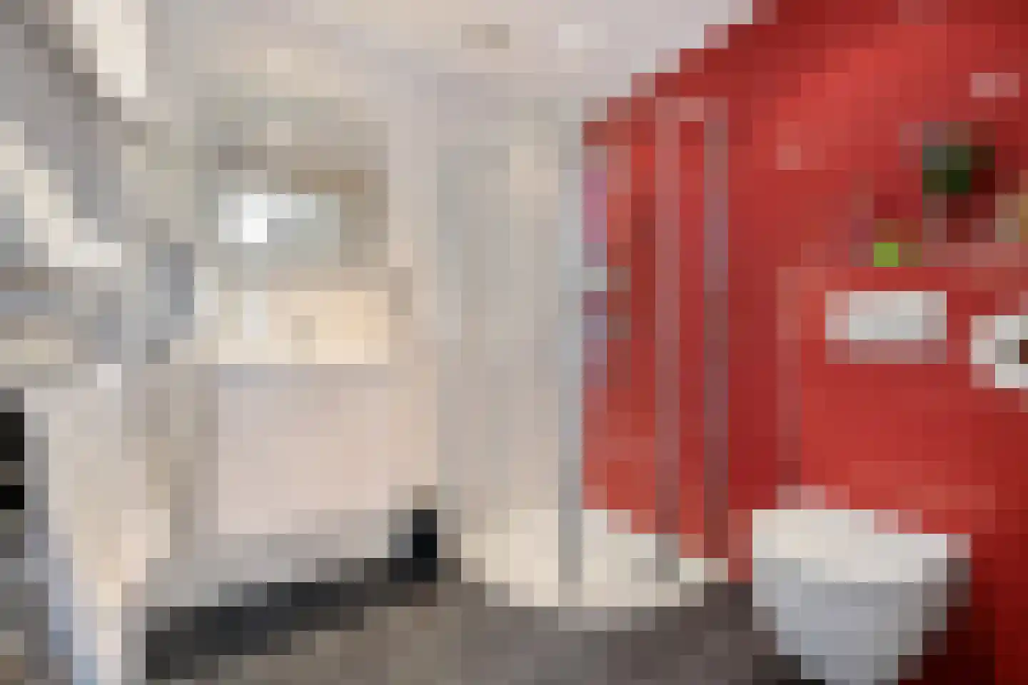 Meenscharweg 5 Joure thumbnail 17
