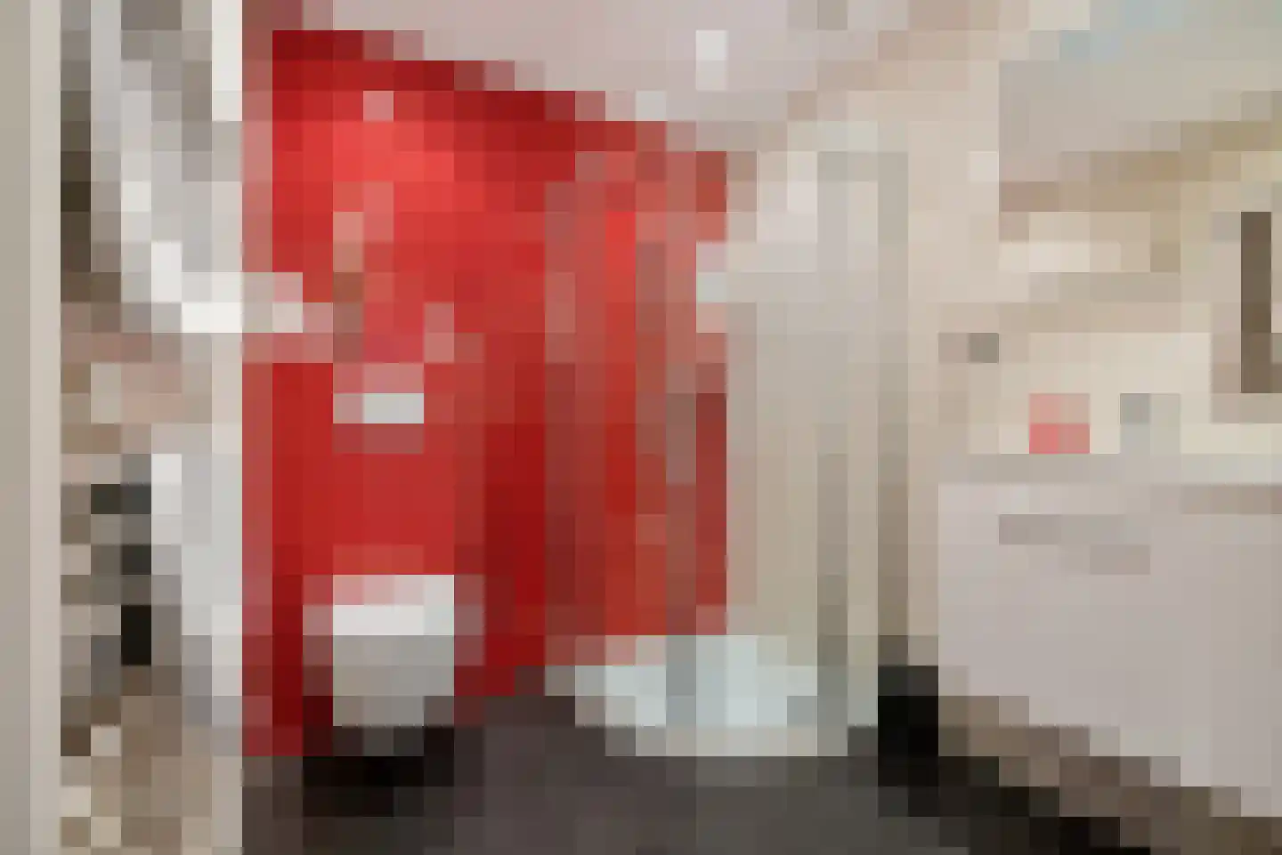 Meenscharweg 5 Joure thumbnail 19