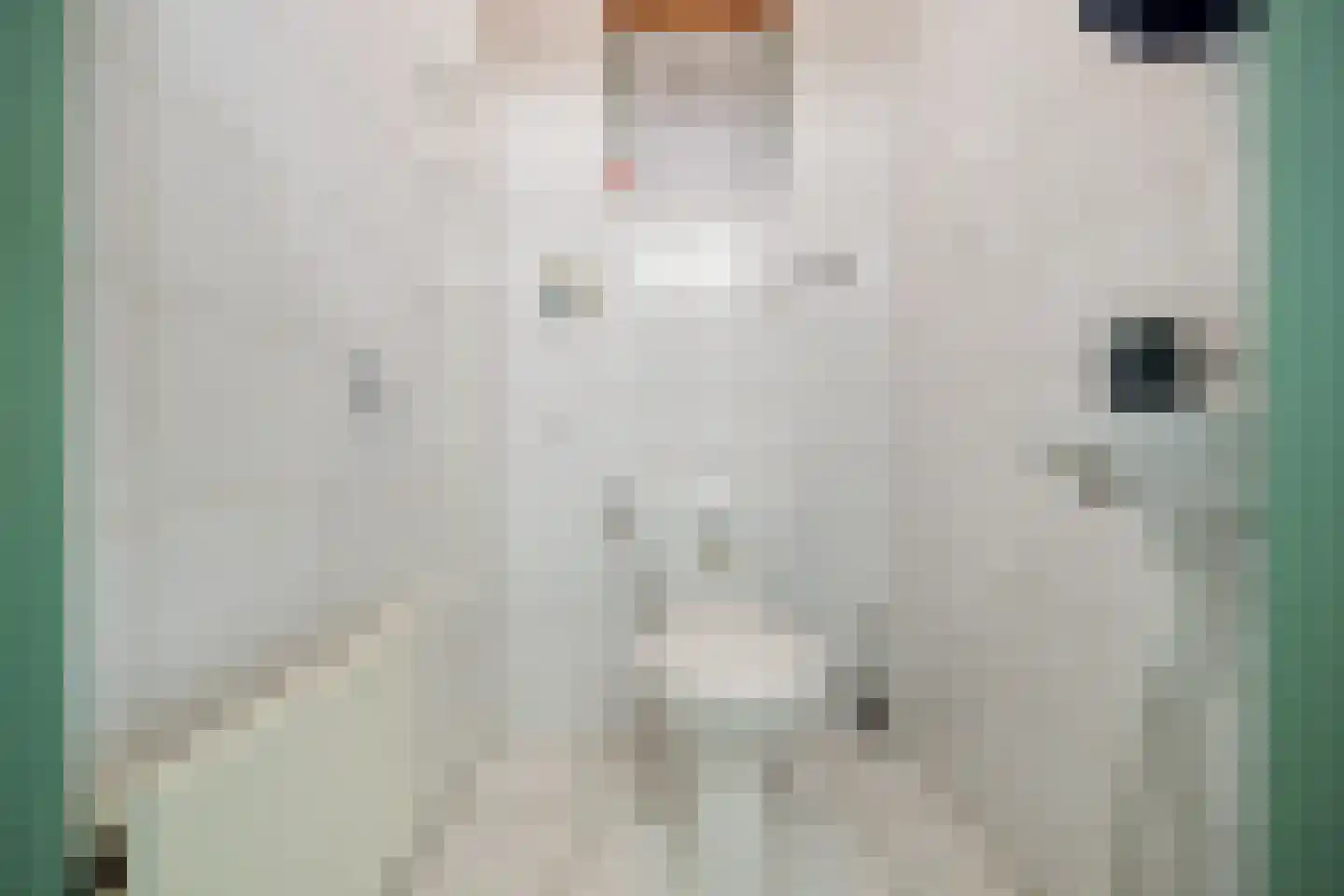 Meenscharweg 5 Joure thumbnail 21