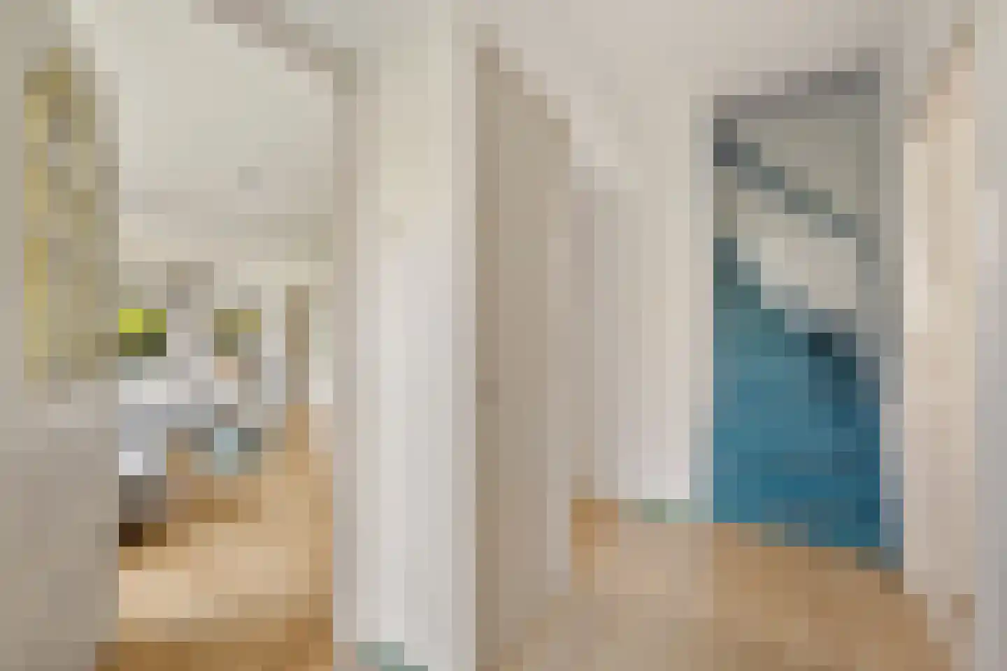 Meenscharweg 5 Joure thumbnail 22