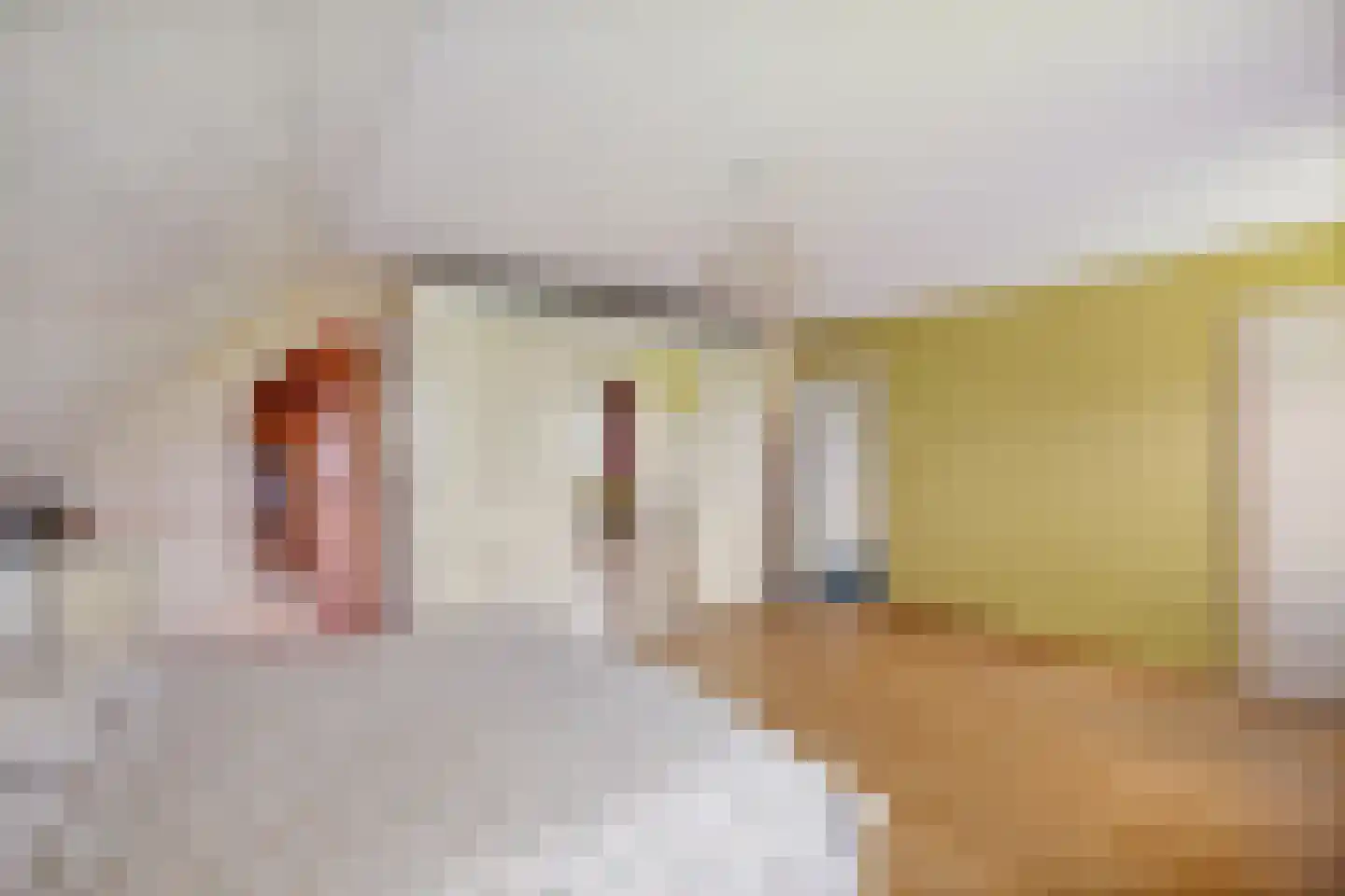 Meenscharweg 5 Joure thumbnail 32